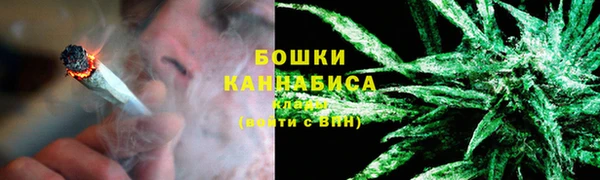 сатива Верея