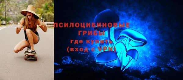 марки lsd Бородино