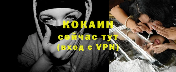 сатива Верея