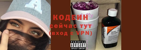 сатива Верея