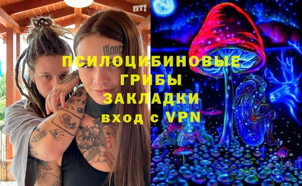 марки lsd Бородино
