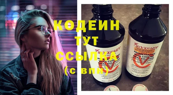 таблы Бикин