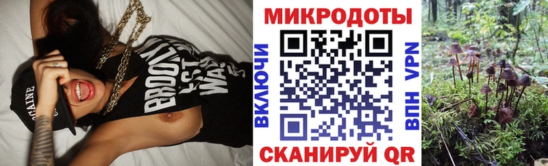 Псилоцибиновые грибы ЛСД  Буй 